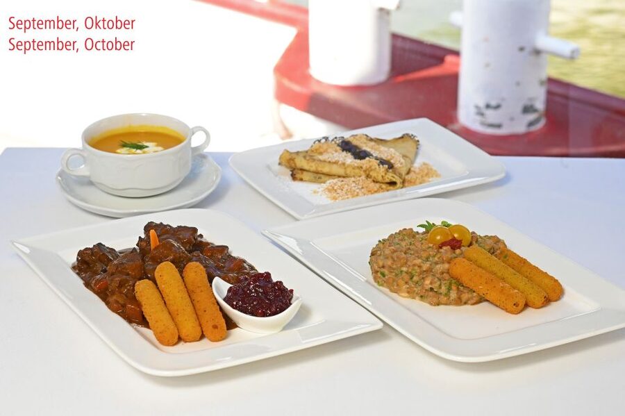 Vienna: Sightseeing Boat Tour with Lunch - Food choices for vegetarians, vegans, and people with allergies