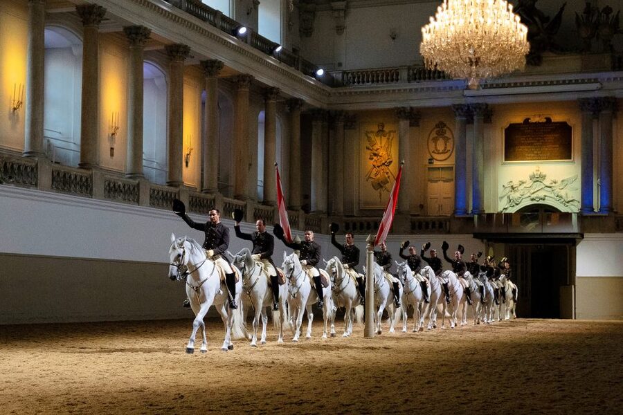 Vienna: Spanish Riding School 45-Minute Performance Show - Why the horses are the real attraction