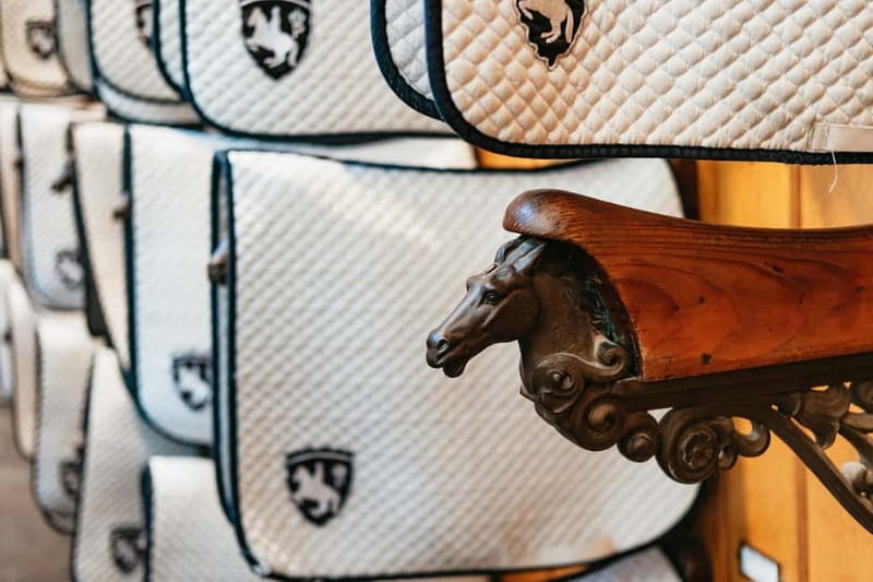 Vienna: Spanish Riding School Guided Architectural Tour - What the 80-minute schedule feels like
