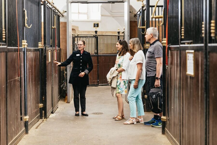 Vienna Spanish Riding School Guided Tour - Why the Spanish Riding School is worth your time