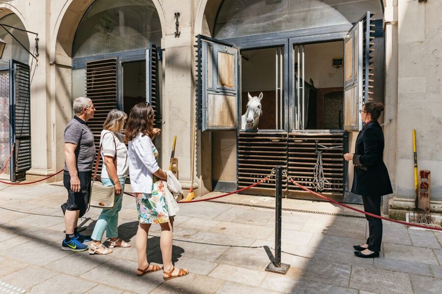 Vienna Spanish Riding School Guided Tour - The Summer Riding School and the great horse walker