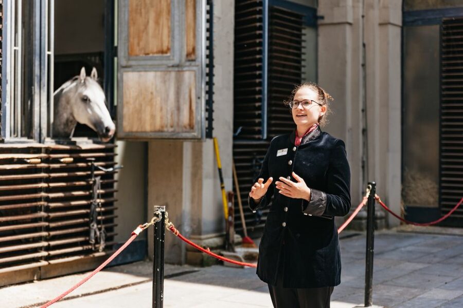 Vienna Spanish Riding School Guided Tour - The tack room and the practical side of classical riding