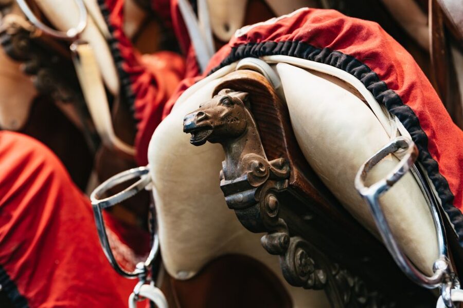 Vienna Spanish Riding School Guided Tour - The strict photography rule
