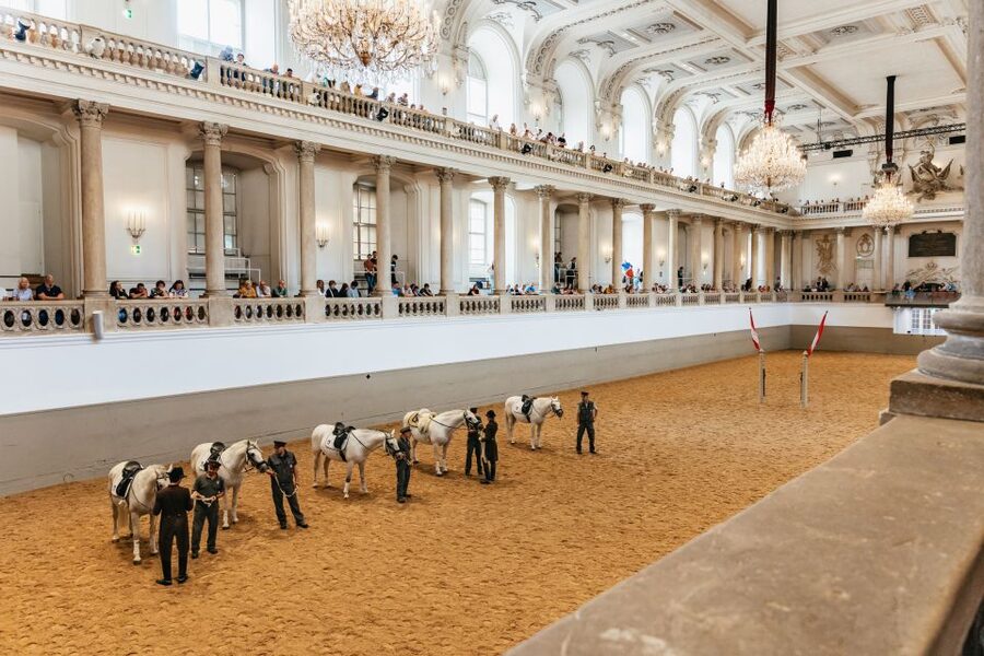 Vienna: Spanish Riding School Training - Entering the Winter Riding Academy