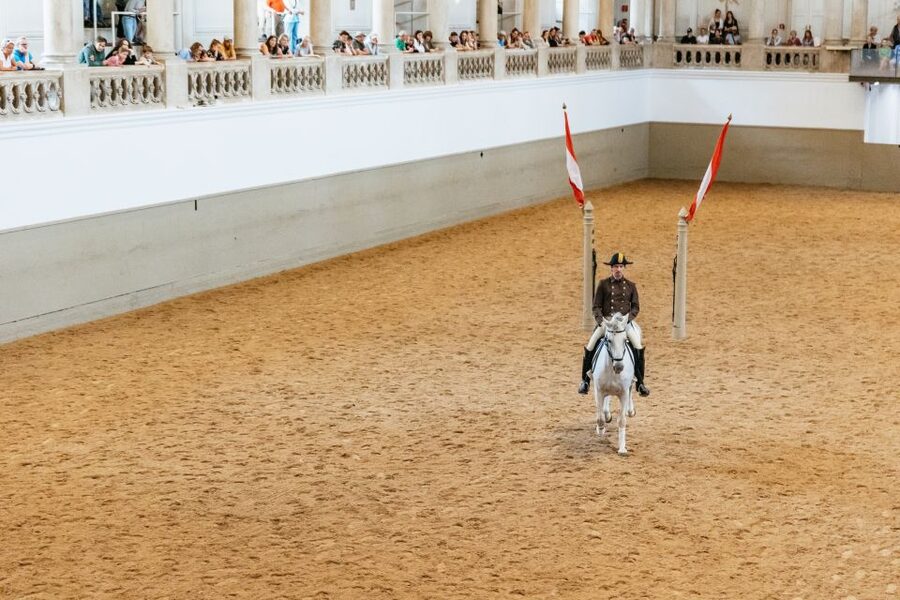 Vienna: Spanish Riding School Training - Should you book the Spanish Riding School training?