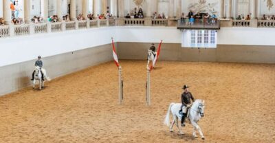 Spanish Riding School Training