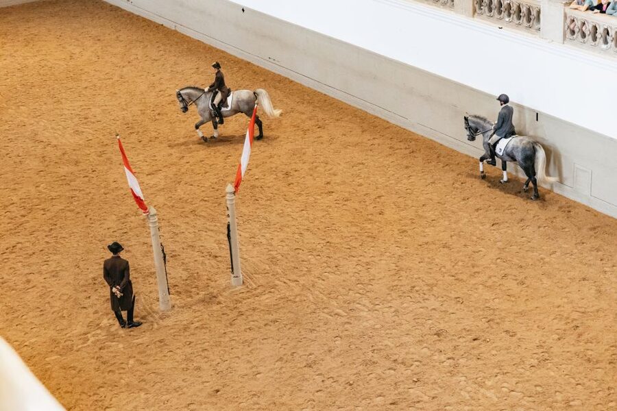 Vienna: Spanish Riding School Training - Choosing between standing and seated tickets