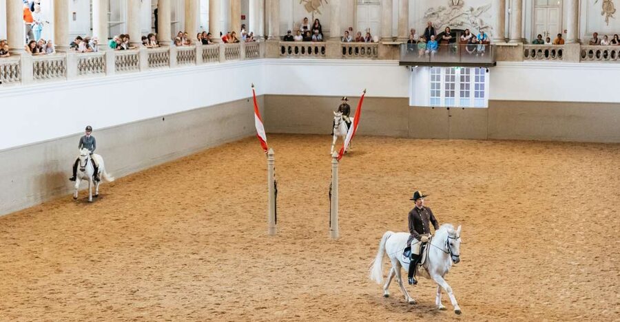 Vienna: Spanish Riding School Training - From simple movements to haute école work