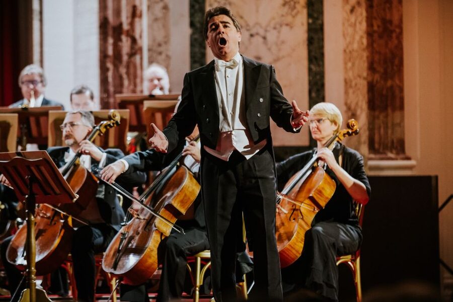 Vienna: Strauss and Mozart Concert at Hofburg Palace - What the musicians, singers, and dancers add