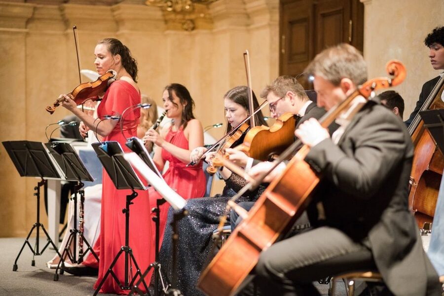 Vienna Supreme Orchestra at Palais Niederösterreich - Who will enjoy this Vienna concert most