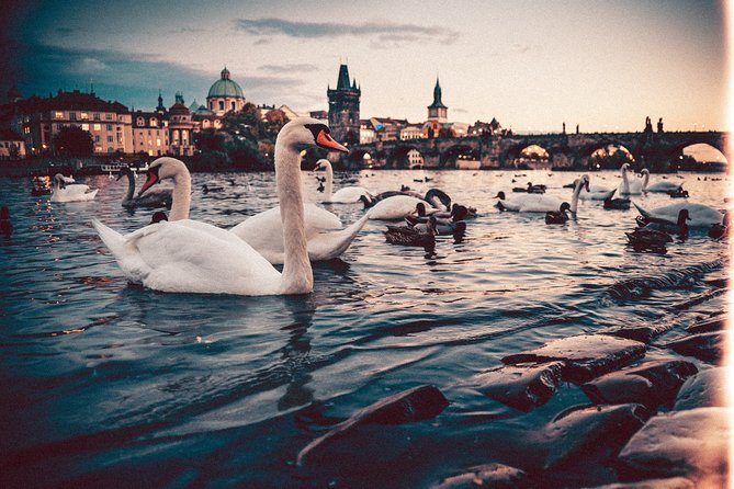 Vienna to Prague - Private Transfer with 2 hours of Sightseeing - Český Krumlov: rewarding, but not a quick detour