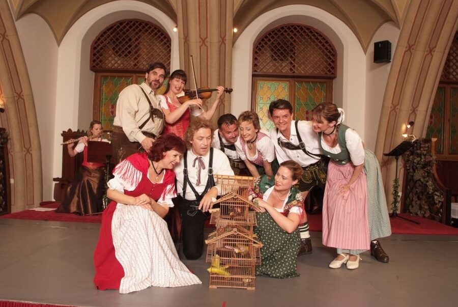 Vienna: Traditional Dinner Show at the Wiener Rathauskeller - My booking advice