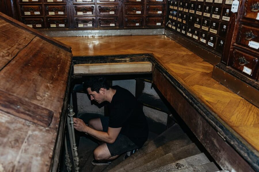 Vienna: Viennese Underworld Guided Walking Tour - Vienna’s secret life below street level