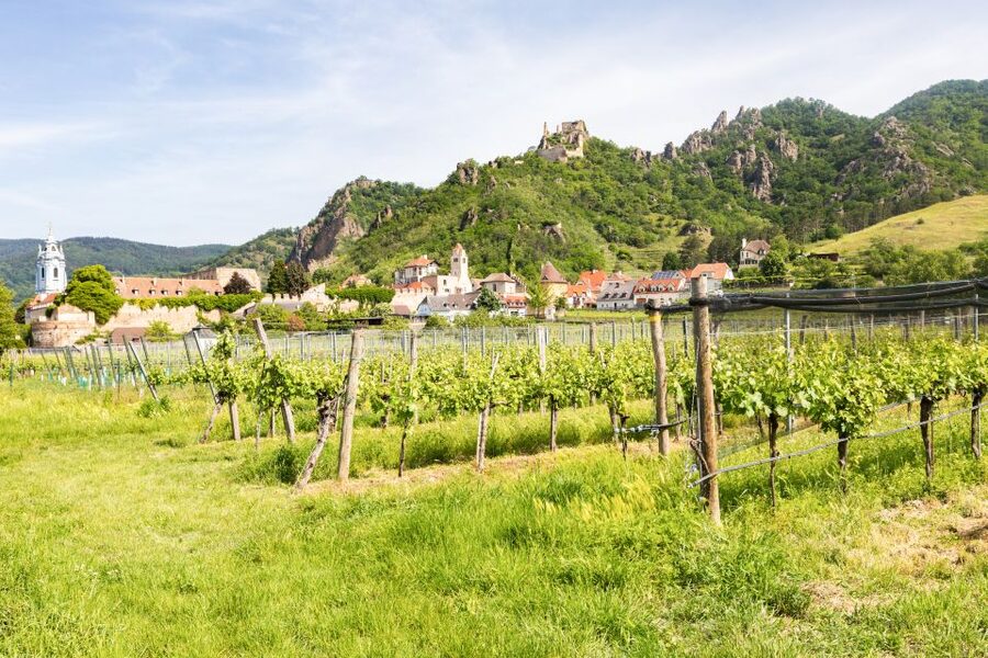 Vienna: Wachau Valley, Melk Abbey Tour with Danube Boat Trip - Timing, comfort, and value at $151