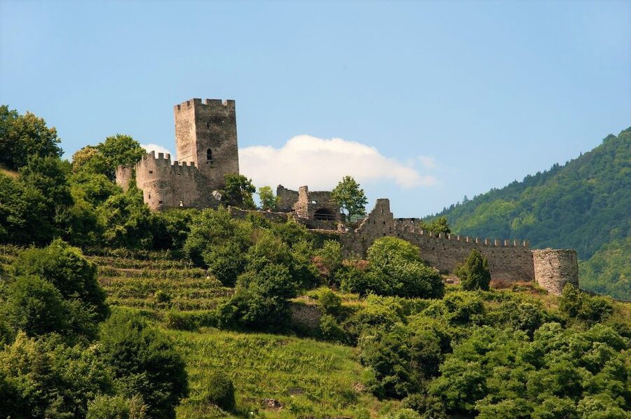 Vienna: Wachau Valley Private Kayak and Wine Tour - Should You Book It?