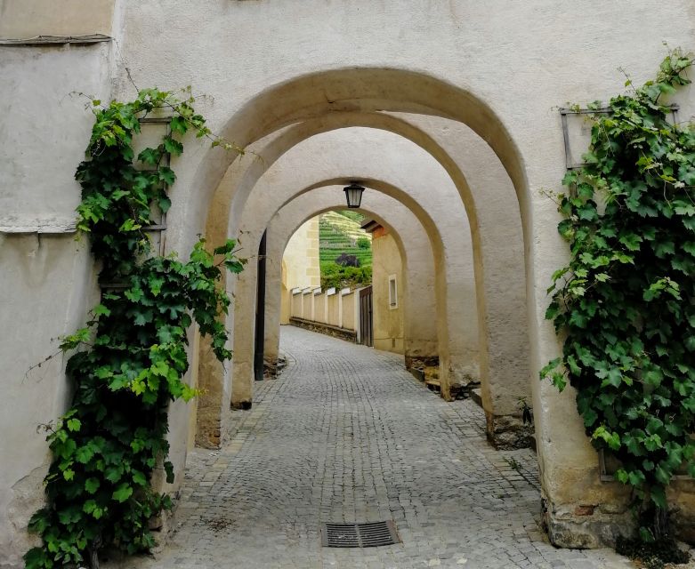 Vienna: Wachau Valley Private Kayak and Wine Tour - Who Should Book This Tour