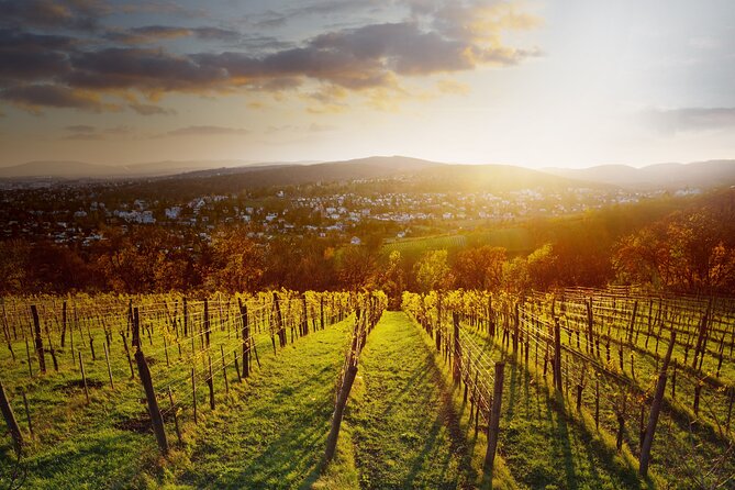 Vienna Wine Experience - A Buschenschank gives the wine a local setting
