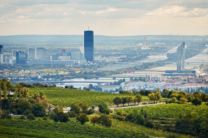 Vienna Wine Experience - Is $361.23 a fair price?