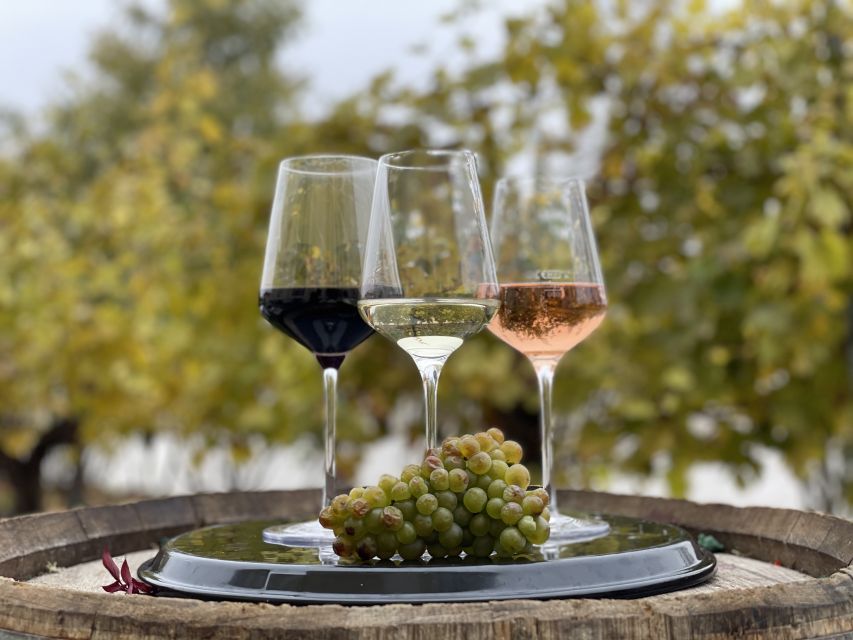 Vienna: Wine Tasting at Schönbrunn Palace - Learning Vienna’s Wine Culture