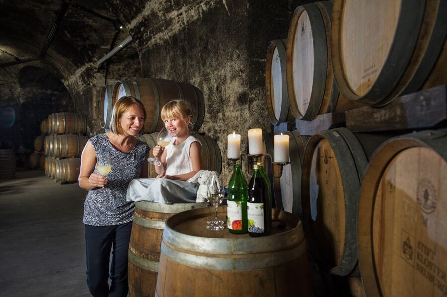 Vienna: Wine Tasting E-Bike Tour - Key points at a glance