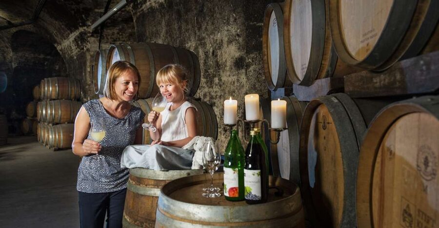 Vienna: Wine Tasting E-Bike Tour - Klosterneuburg Abbey and its old wine cellar