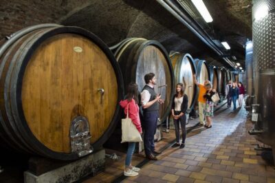 Wine Tasting E-Bike Tour