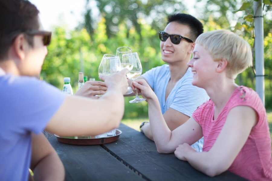 Vienna: Wine Tasting E-Bike Tour - What $111 includes and what it does not