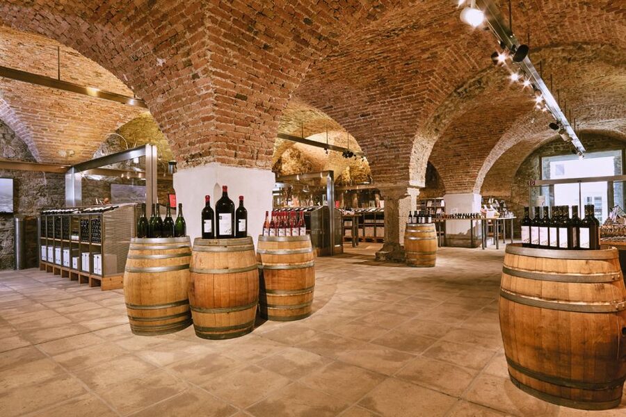 Vienna: Wine Tasting E-Bike Tour - Should you book the Vienna wine e-bike tour?