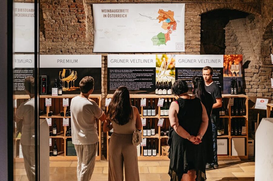 Vienna: Wine Tasting Experience in a Private Wine Cellar - Regional food makes the tasting more useful