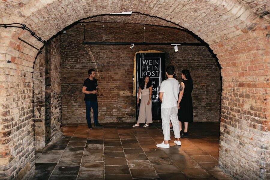 Vienna: Wine Tasting Experience in a Private Wine Cellar - A social activity for solo visitors