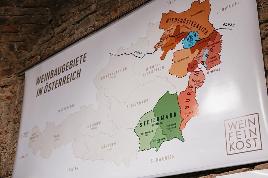 Vienna: Wine Tasting Experience in a Private Wine Cellar - What the guide does well, and where to ask for more