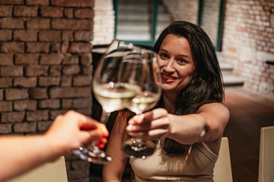 Vienna: Wine Tasting Experience in a Private Wine Cellar - Practical details that affect your visit