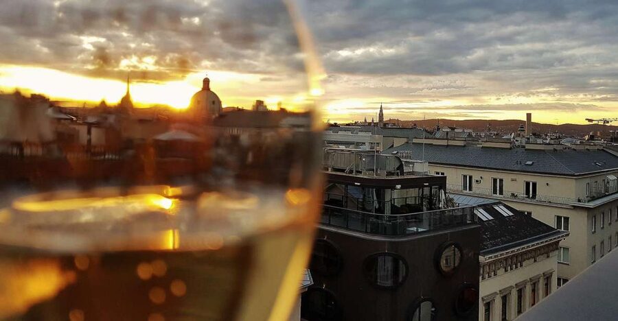 Vienna: Wine Tasting Tour - The first glass: Vienna in the city center