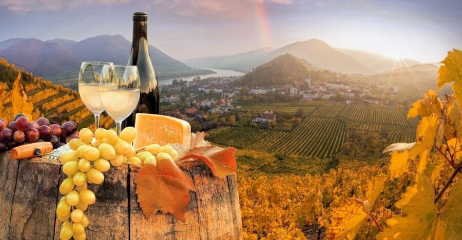 Vienna: Winery and Wine Tasting Tour with a Wine Expert - Two wine stops with two different moods
