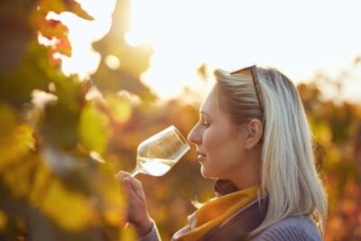 Winery and Wine Tasting Tour with a Wine Expert
