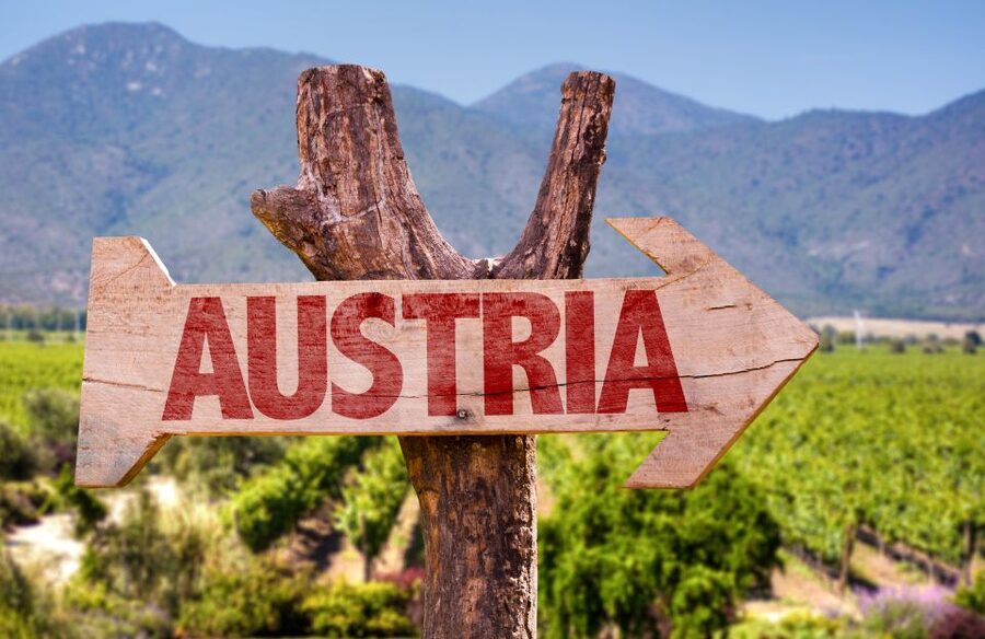 Vienna: Winery and Wine Tasting Tour with a Wine Expert - The three-hour route adds food and city sights