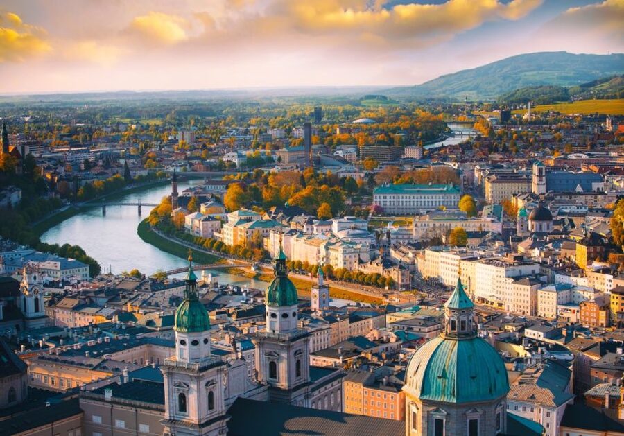 Vienna: Winery and Wine Tasting Tour with a Wine Expert - Who should book this wine tour?
