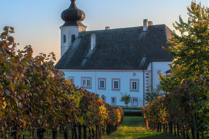 Vienna Woods Wine Tour - Wines, Vines & Good Times! - What the $191.02 price gets you