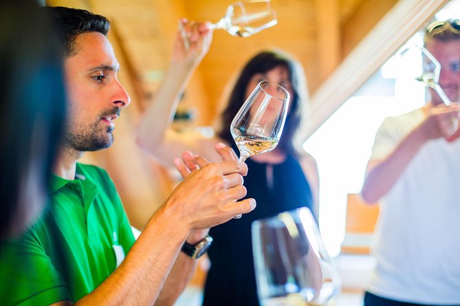 Wachau Valley Private Tour With Melk Abbey Visit and Wine Tastings from Vienna - Lunch at Weingut Hermenegild Mang