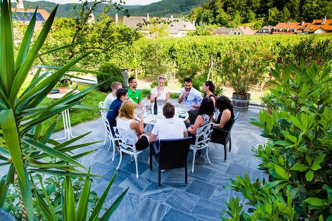 Wachau Valley Small-Group Tour and Wine Tasting from Vienna - Leaving Vienna for the Wachau Valley