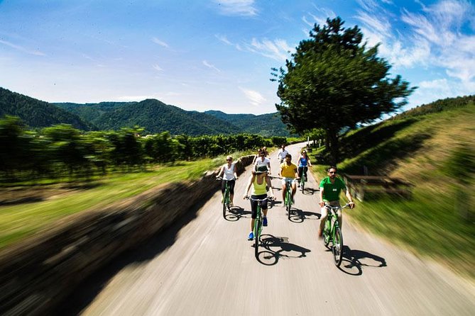 Wachau Valley Wine Tasting Bike Tour from Vienna - Guides and the feel of a small group