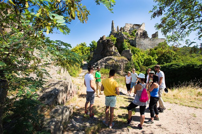 Wachau Valley Wine Tasting Bike Tour from Vienna - Is the $163 price good value?