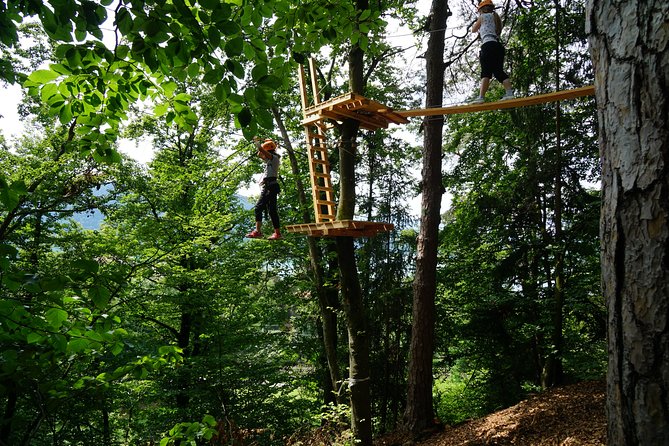Waldseilpark Wörthersee - What the two-hour visit feels like