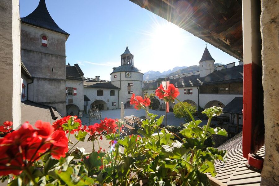 Werfen: Hohenwerfen Castle Entrance Ticket - The views and the physical demands