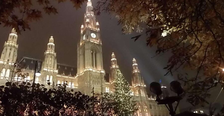 Wien: Tour with locals on the trails of the Christmas Tree - Albertina Museum: a short stop with a grand setting