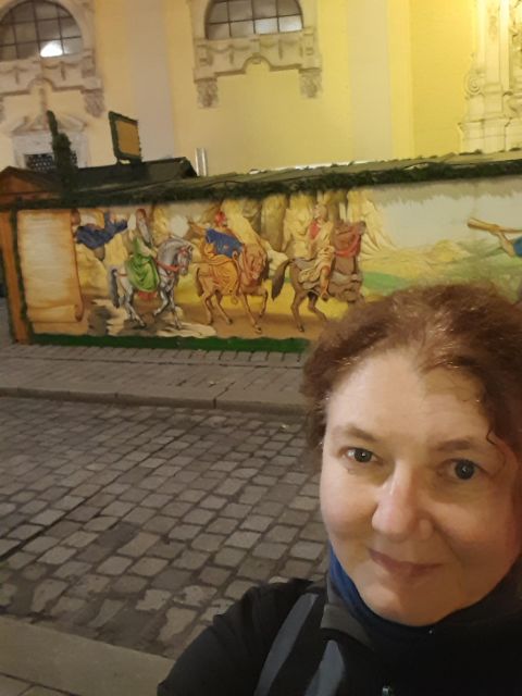 Wien: Tour with locals on the trails of the Christmas Tree - Rathausplatz and the final Advent-market choice
