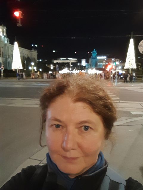 Wien: Tour with locals on the trails of the Christmas Tree - Is $62 fair for two hours?