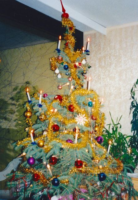 Wien: Tour with locals on the trails of the Christmas Tree - Timing, clothing, and the practical side