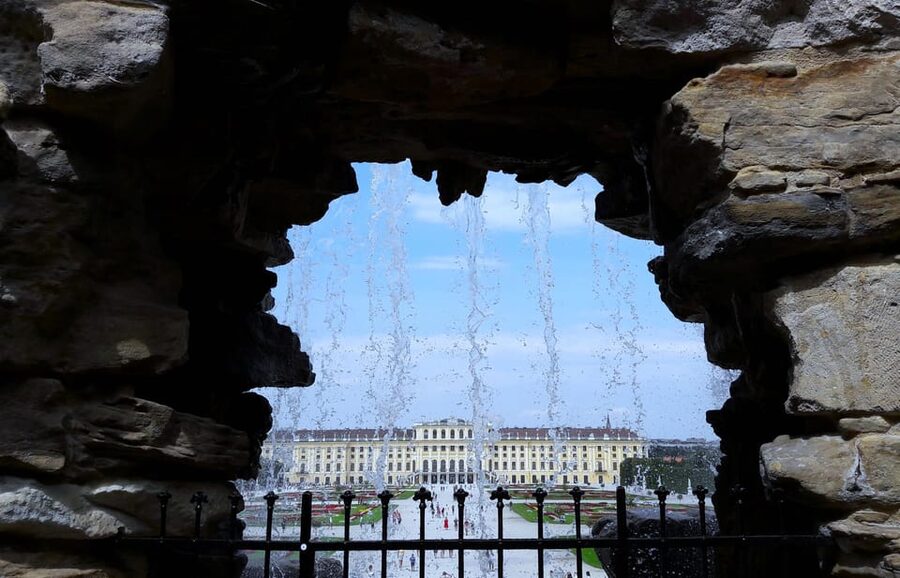 Wien: Tours with locals by public transport & walking - Key points to know before booking