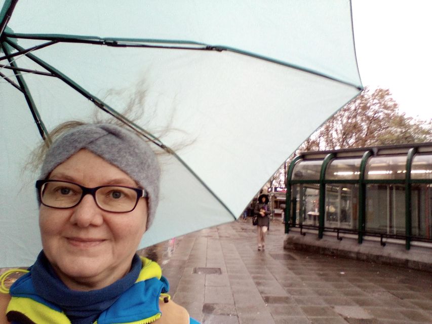 Wien: Tours with locals by public transport & walking - Belvedere by tram, with time for the gardens